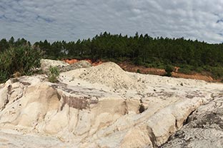 什么是高岭土 高岭土探花在线视频设备