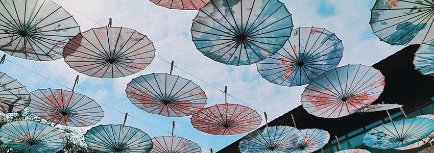 赏山悦水·拥抱自然——探花在线观看2020金秋阳朔之旅